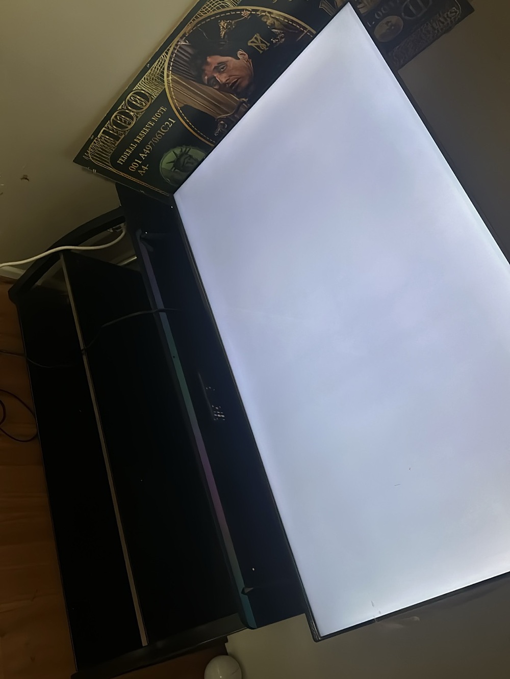 Vizio Black Laptop Screen Panel with Bright White Display